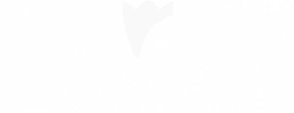 10.png.webp
