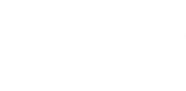 13.png.webp