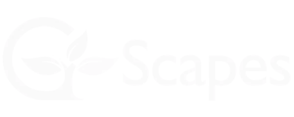 G-Scapes.png.webp